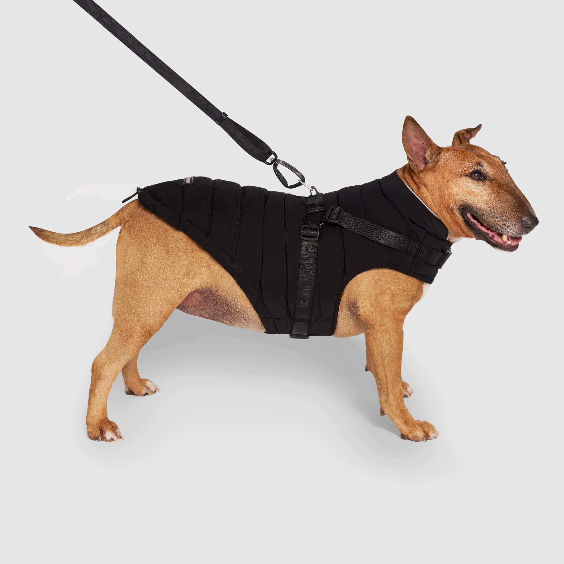Best-Selling Dog Harnesses & 2-in-1