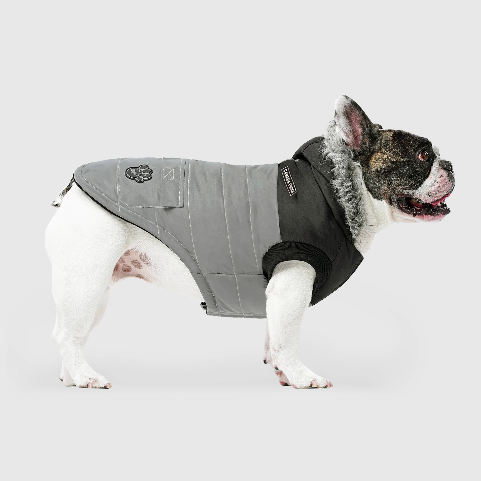 Best-Selling Dog Parkas & Jackets