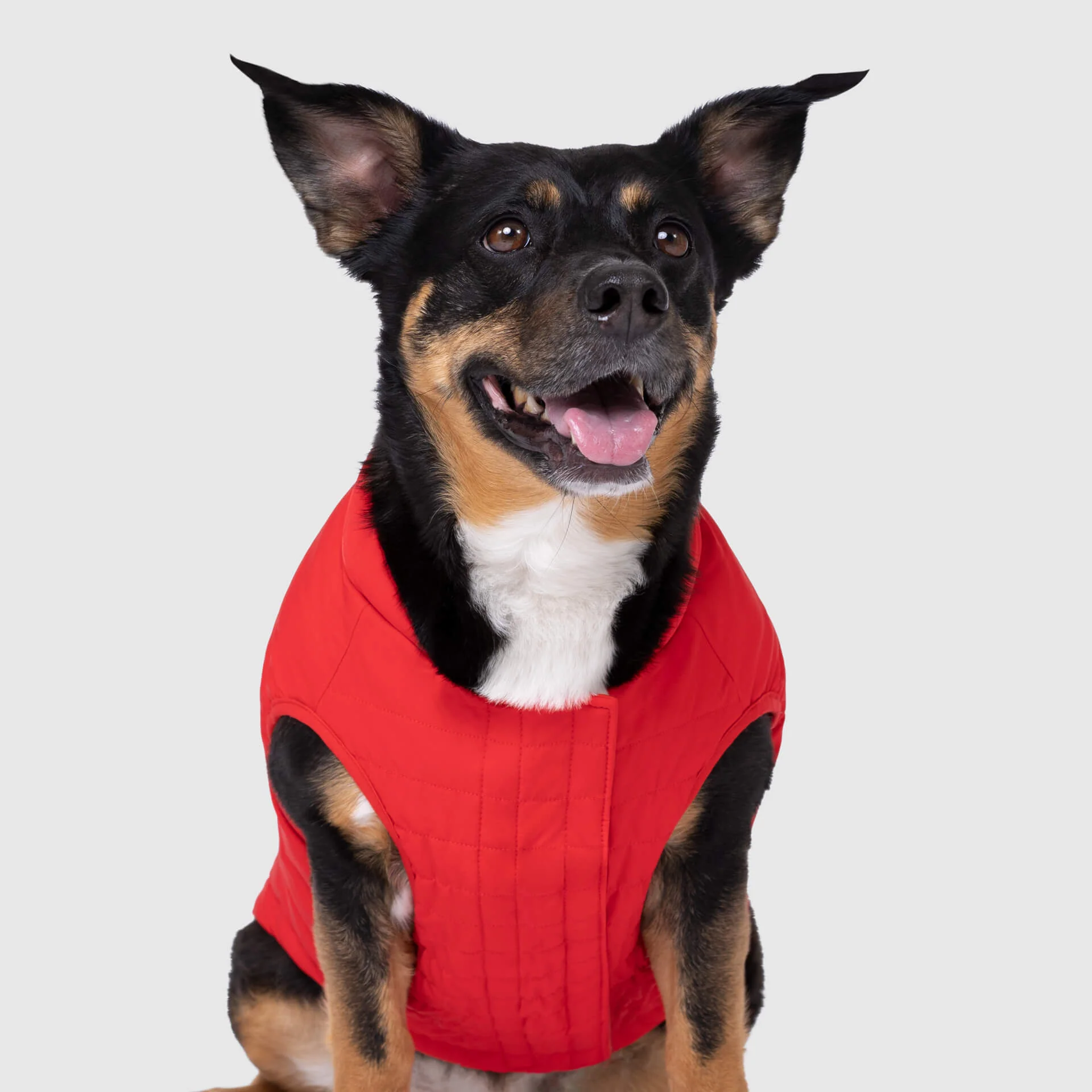 Thumbnail 12